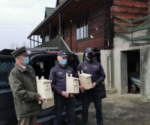 Więźniowie z Nowego Sącza zrobili budki dla ptaków