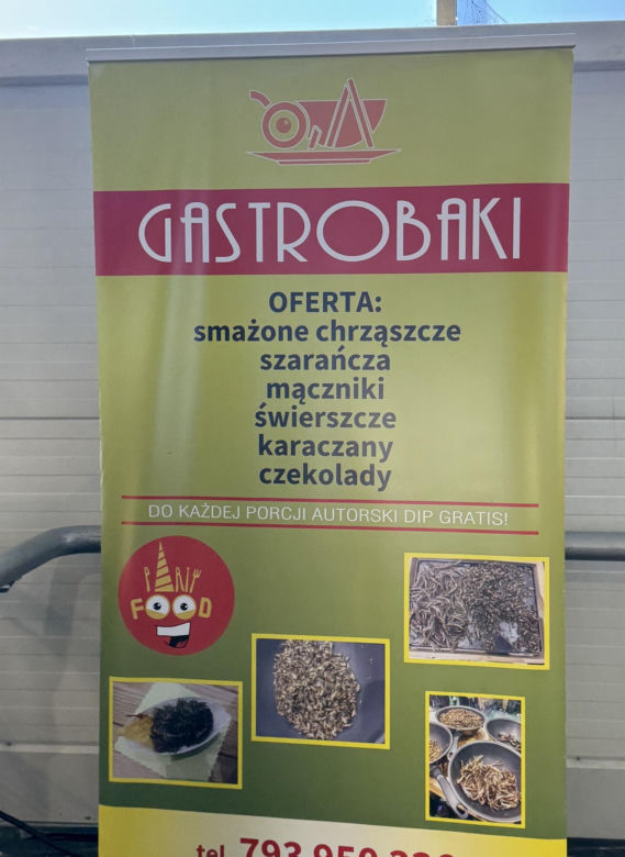 Festiwal Azjatycki w Lublinie. Serwowano smażone chrząszcze i karaczany