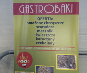 Festiwal Azjatycki w Lublinie. Serwowano smażone chrząszcze i karaczany