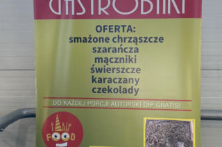 Festiwal Azjatycki w Lublinie. Serwowano smażone chrząszcze i karaczany