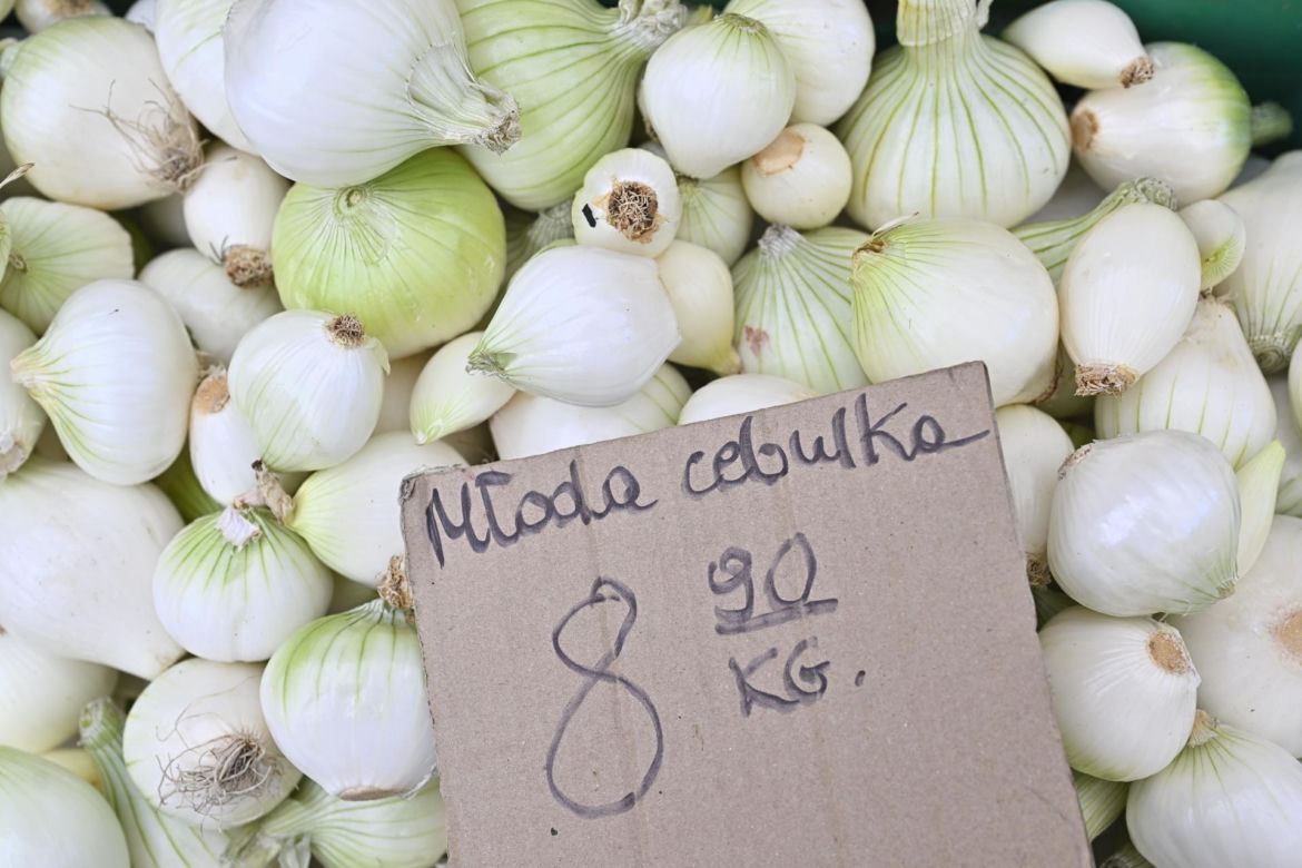 Truskawki po 8 zł, kalafior po 12 zł. Sprawdziliśmy ceny na stołecznych bazarach. Są zaskoczenia! 