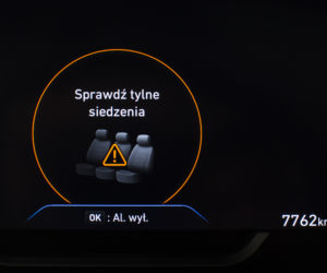 Hyundai Santa Fe 2.0 CRDi 185 KM 8AT 4WD Platinum