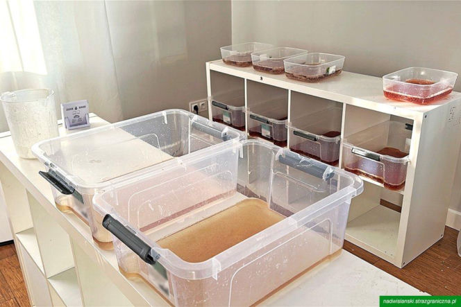 Laboratorium mefedronu w domu w Wawrze