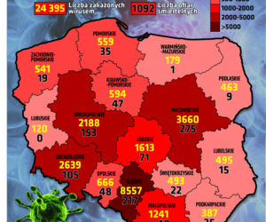 Koronawirus: Zobacz wykresy i prognozy – stan na 2.06 godz. 17.30