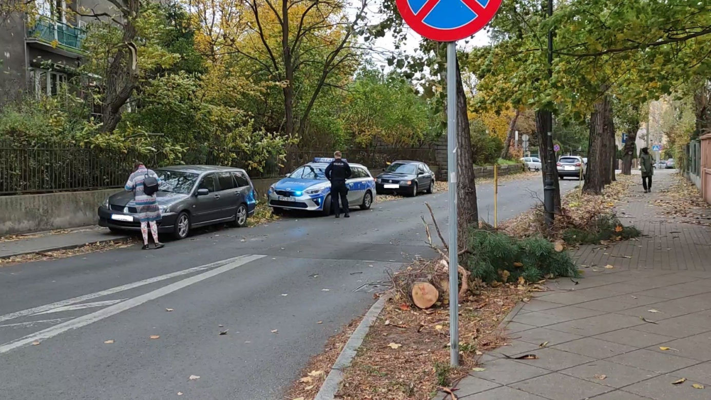 Wichury w Toruniu. Żywioł wywracał drzewa i nie tylko
