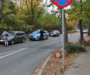 Wichury w Toruniu. Żywioł wywracał drzewa i nie tylko