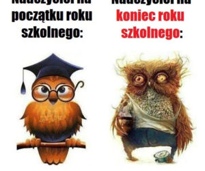 Memy na zakończnie roku szkolnego. Z tego śmieją się uczniowie [ZDJĘCIA]