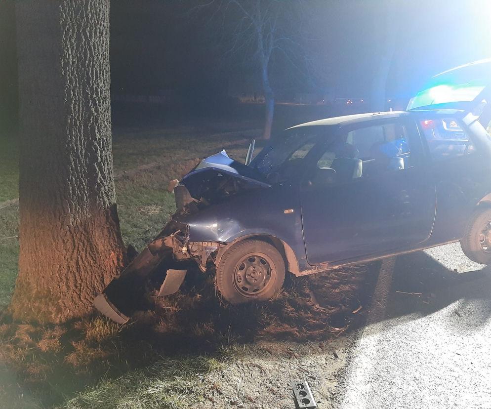 Paskudny wypadek w Wielkopolsce. Nie żyje kierowca 