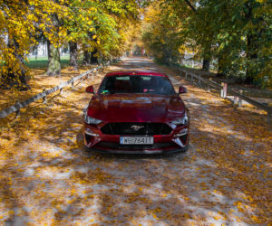 Ford Mustang GT Fastback 5.0 V8 450 KM