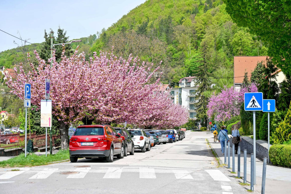  Trencianske Teplice