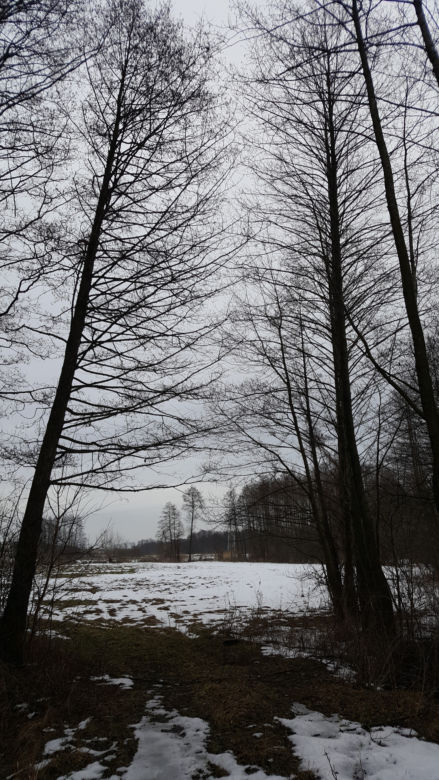 Łomżyński Park Krajobrazowy Doliny Narwi