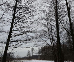 Łomżyński Park Krajobrazowy Doliny Narwi