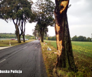 Pijany Białorusin jadąc ciężarówką uderzał w drzewa