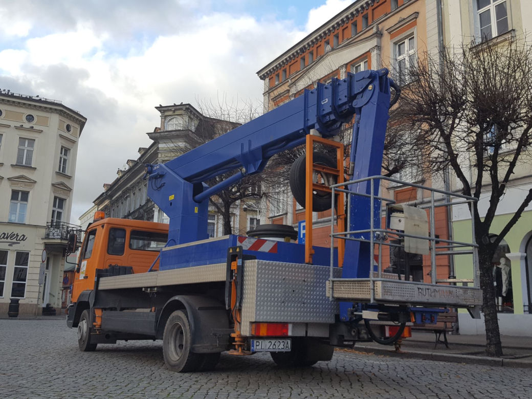Drzewa na Rynku w Lesznie pod fachową opieką