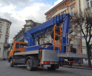 Drzewa na Rynku w Lesznie pod fachową opieką