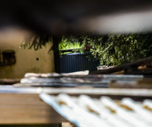 Transport Bartosza G. do kraju. Podejrzany o zabójstwo Mai z Mławy wraca do Polski