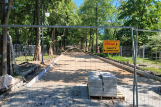 „Rażąca bezczynność” wykonawcy i wycinka 100-letnich tuj. Przebudowa parku Planty w Białymstoku