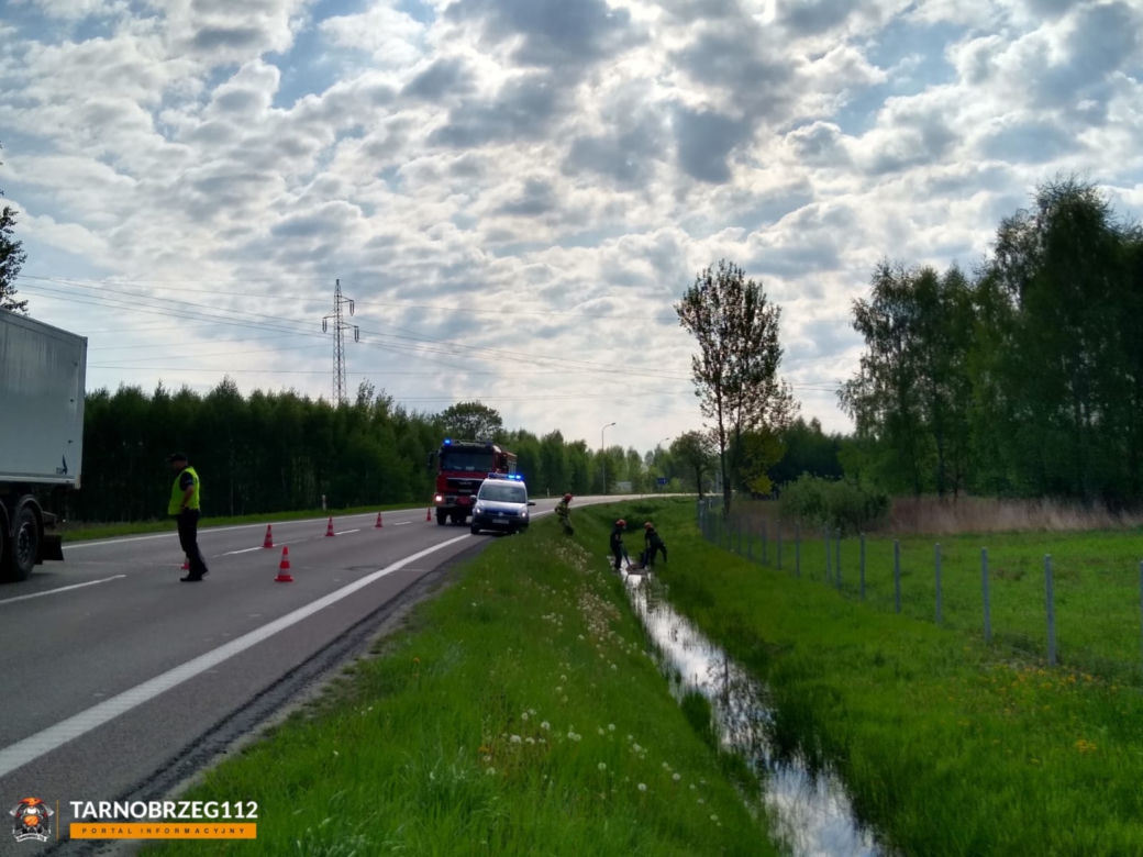 Podkarpackie. Strażacy wyciągnęli łanię z błota [GALERIA]