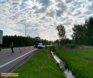 Podkarpackie. Strażacy wyciągnęli łanię z błota [GALERIA]