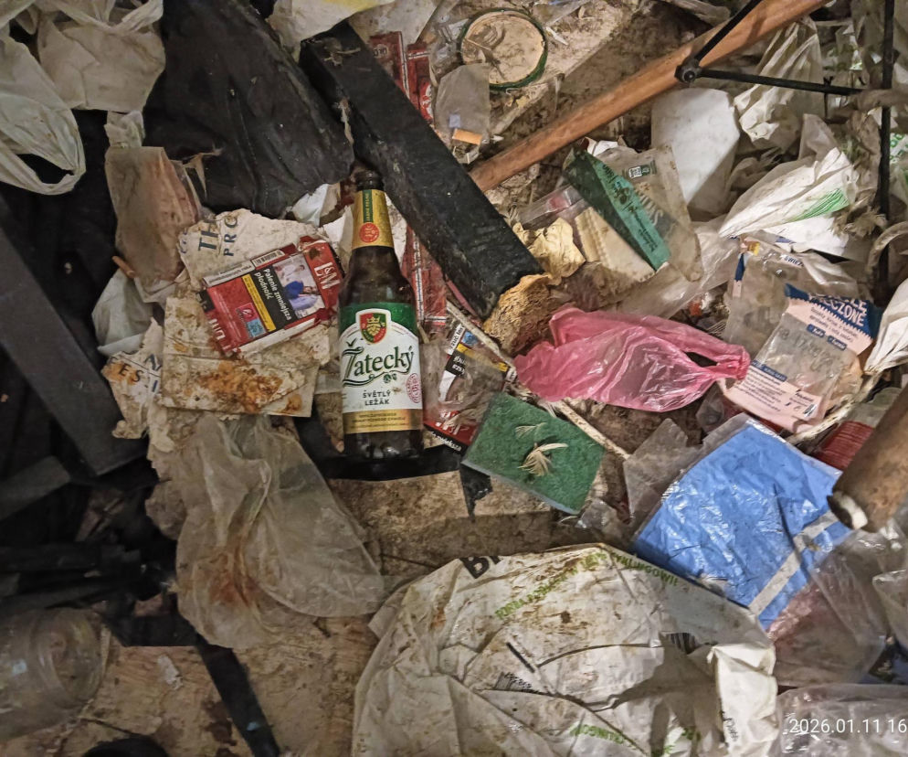 Interwencja inspektorów TOZ z Katowic w Sosnowcu