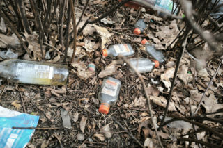 Śmietnisko przy Alternatywie