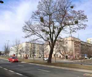 Ulica Leszno w Warszawie, choć zmieniała nazwy, dla pokolenia wojennego pozostała symbolem tragicznych wydarzeń