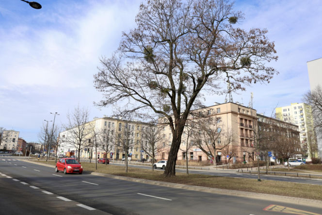 Ulica Leszno w Warszawie, choć zmieniała nazwy, dla pokolenia wojennego pozostała symbolem tragicznych wydarzeń