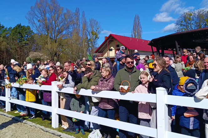 Konna święconka w Szczecinie