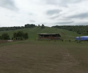 Niedźwiedzie coraz bliżej ludzi. Strach w Bieszczadach narasta: „Boimy się wyjść z domu”