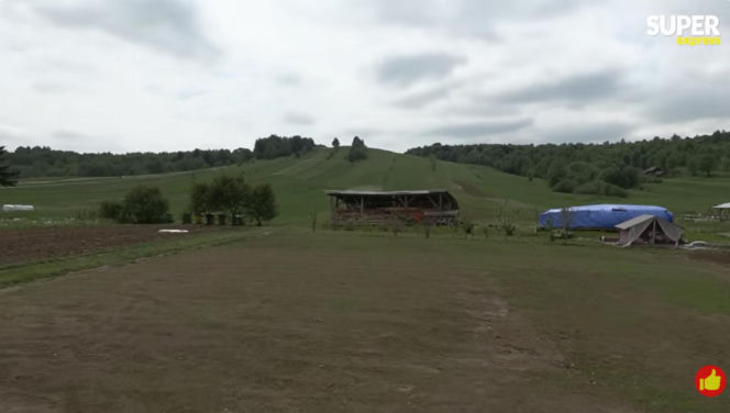 Niedźwiedzie coraz bliżej ludzi. Strach w Bieszczadach narasta: „Boimy się wyjść z domu”