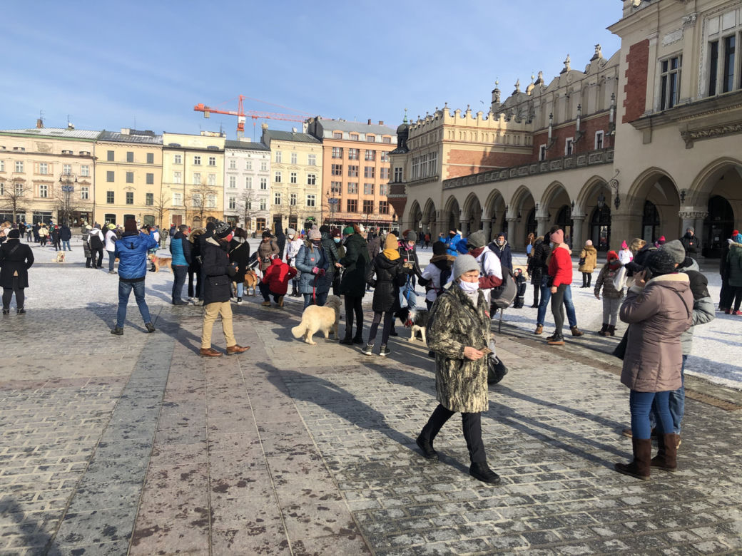 29. finał WOŚP w Krakowie