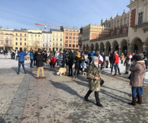 29. finał WOŚP w Krakowie