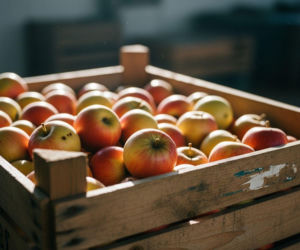 Produkty ekologiczne z Polski zyskują popularność poza UE