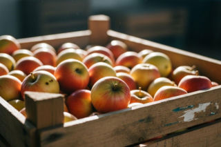 Produkty ekologiczne z Polski zyskują popularność poza UE