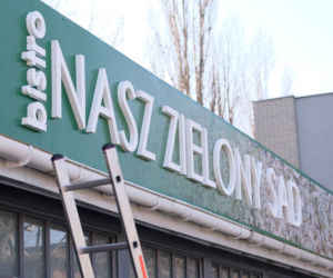 M jak miłość odc. 1594. bistro Nasz zielony sad