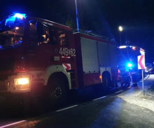Kujawsko-pomorskie: Tragiczny finał poszukiwań zaginionej seniorki! Jej ciało znaleziono w bagnie [ZDJĘCIA]