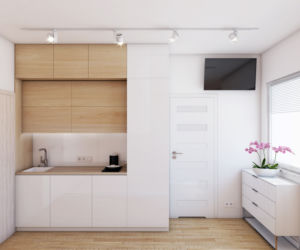 Wizualizacja najmniejszego apartamentu