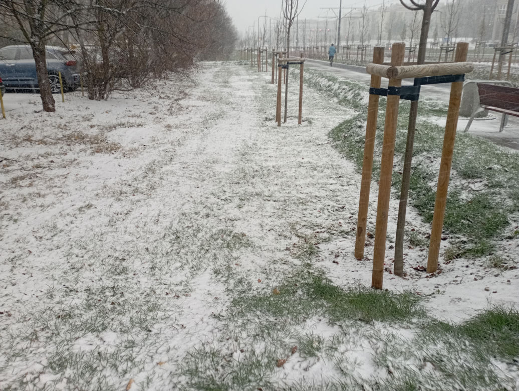 Zima w Poznaniu. Pierwszy śnieg spadł w Wielkopolsce