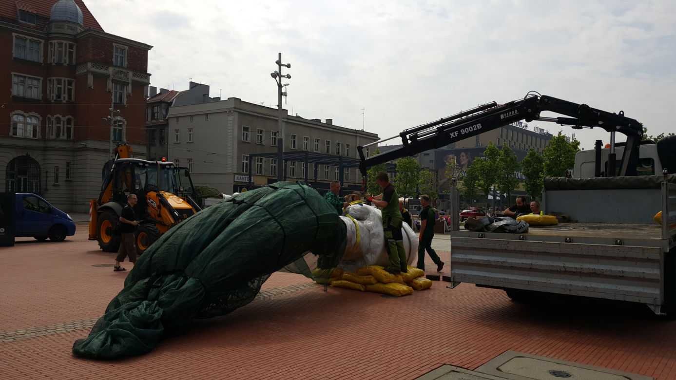 Palmy wróciły na rynek w Katowicach