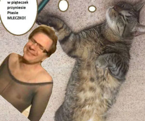 Kot Filipa Chajzera stał się bohatrem memów!