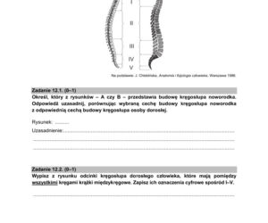 Matura próbna 2021: Biologia poziom rozszerzony. Arkusze CKE sprawdzisz TUTAJ