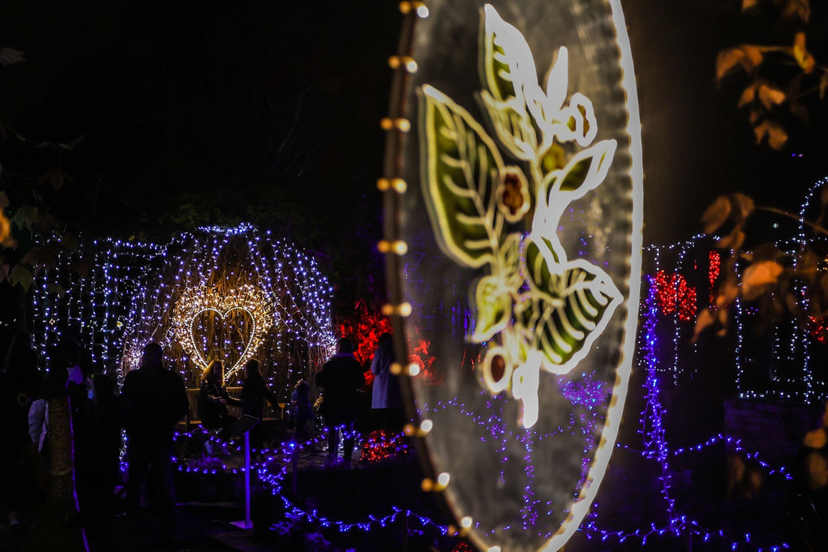 Ogród Botaniczny UW w blasku miliona świateł!