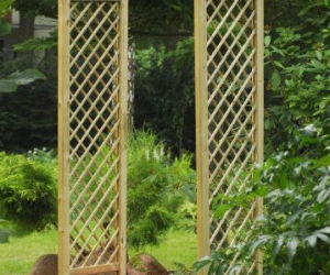 Pergola - podpora dla roslin, ochrona przed sloncem