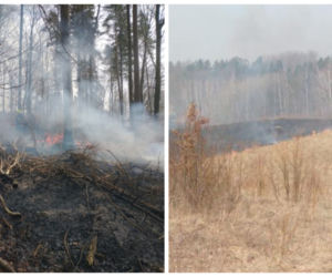 Pożar lasu pod Olsztynem. Gdyby nie szybka reakcja ratownicza, straty byłyby ogromne [FOTO]