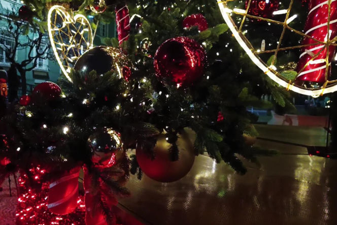 Choinka przed urzędem miasta w Szczecinie