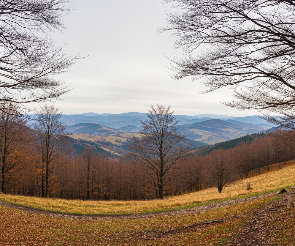 Panorama ukazuje jesienny, górzysty krajobraz. Z prawej i lewej strony ramy zdjęcia wznoszą się bezlistne drzewa z ciemnymi pniami i gałęziami, tworząc naturalne obramowanie dla widoku na doliny i dalsze pasma górskie. Na pierwszym planie, u podnóża drzew, rozciąga się grunt pokryty brązowymi i pomarańczowymi opadłymi liśćmi, przez który przebiega wąska, gruntowa ścieżka. Dalej za drzewami widać pagórki porośnięte suchą, żółtą trawą oraz lasy z drzewami o brązowych i rdzawych liściach. W tle, pod jasnym, zachmurzonym niebem, rozciągają się kolejne rzędy gór o niebieskawych odcieniach, zlewające się z horyzontem.