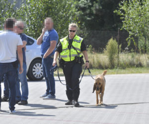 Do poszukiwań Dawidka zostały włączone specjalne psy niemieckiej policji