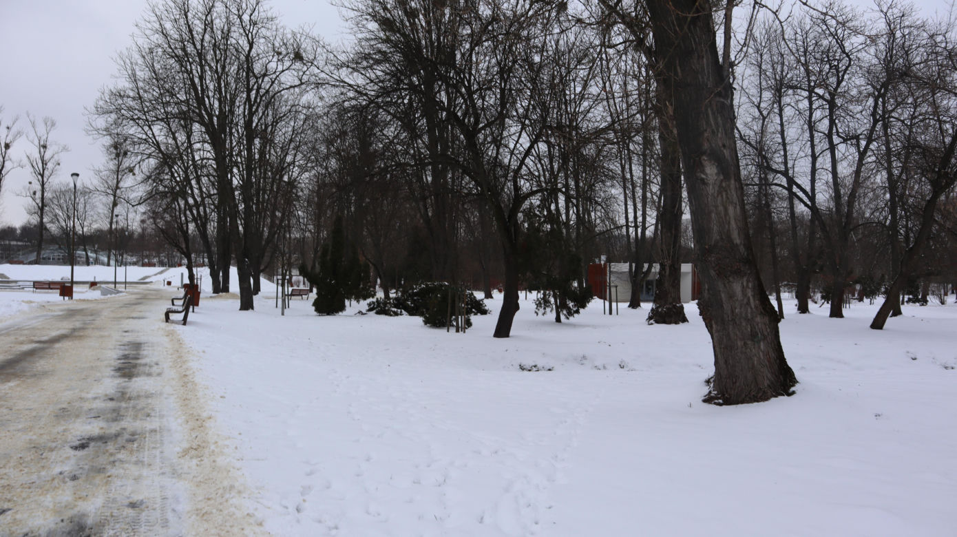 Park Ludowy 