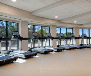 To będzie baza reprezentacji Polski na MŚ