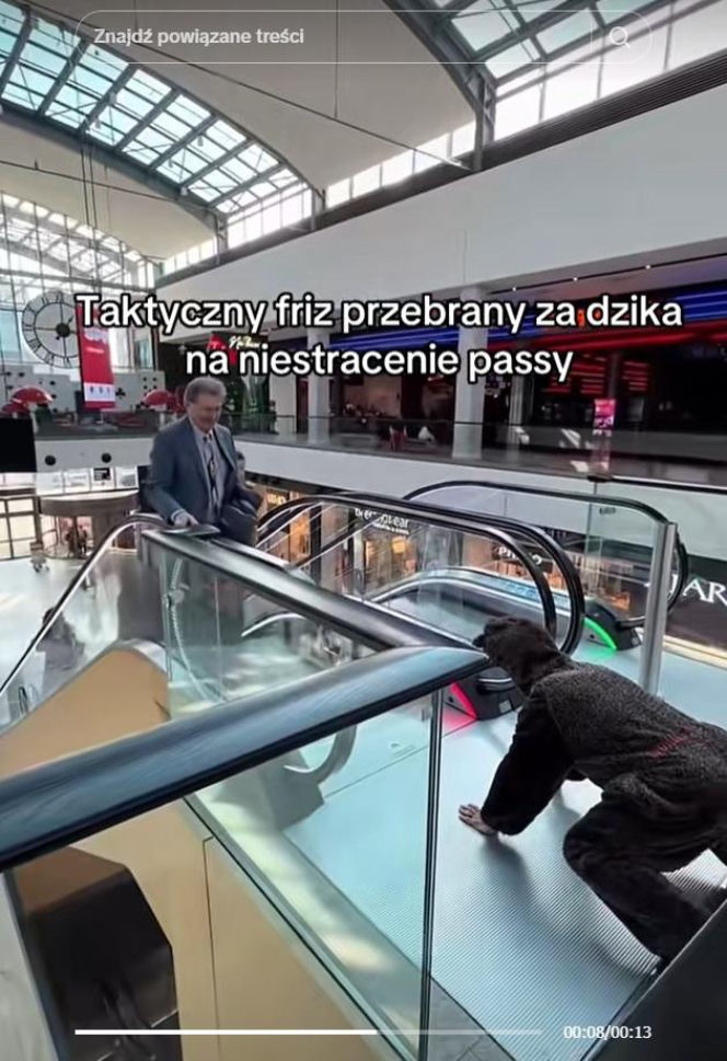 Friz przebrany za dzika